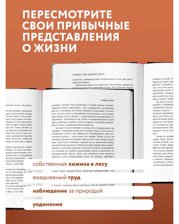 Дополнительное изображение книги «Уолден, или Жизнь в лесу»
