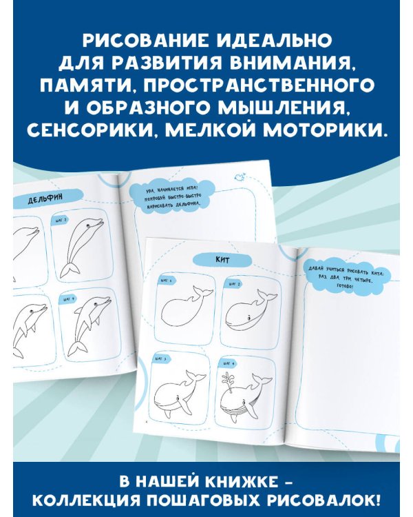 Рисуем за 30 секунд рыб, птиц и насекомых