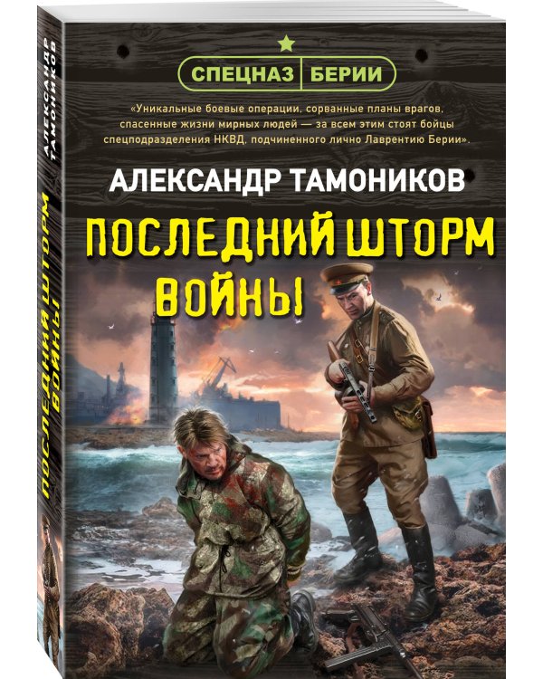 Дополнительное изображение книги «Последний шторм войны»