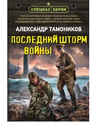 Последний шторм войны