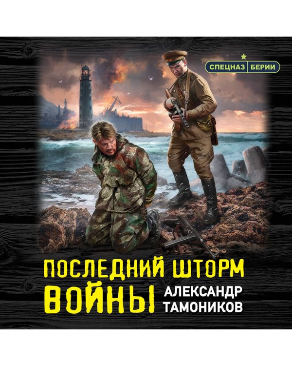 Дополнительное изображение книги «Последний шторм войны»