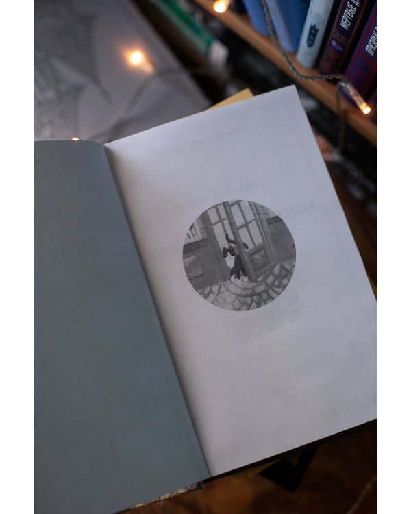 Книжный магазин чудесницы