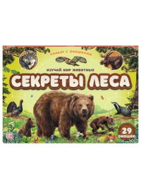 Плакат с окошками. Секреты леса