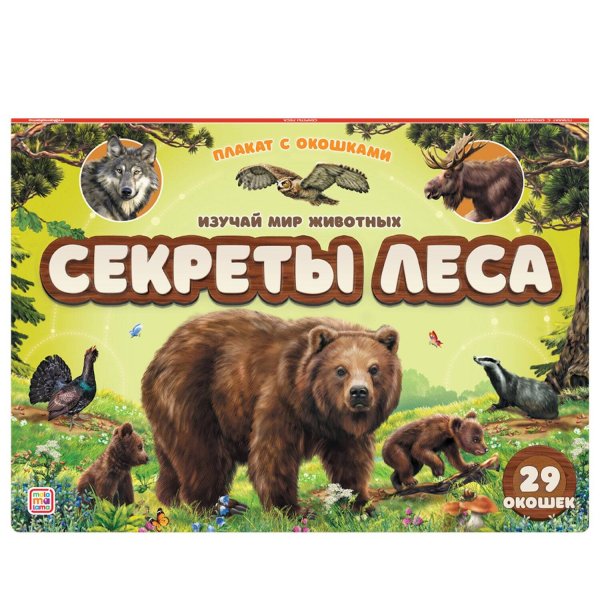 Плакат с окошками. Секреты леса