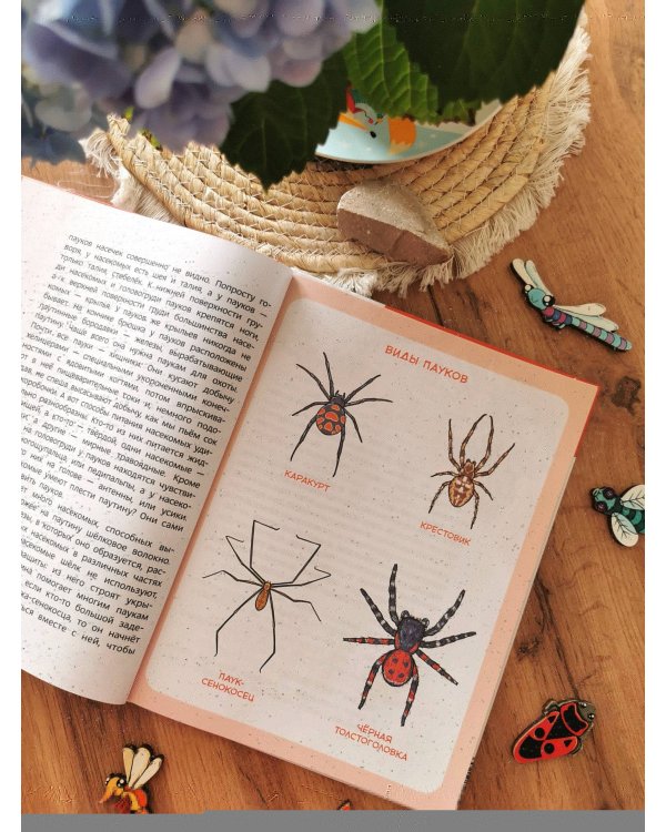 Насекомые и пауки. Детская энциклопедия (Чевостик)