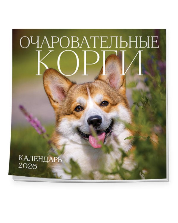 Очаровательные корги. Календарь настенный на 2026 год (300х300 мм)