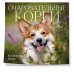 Очаровательные корги. Календарь настенный на 2026 год (300х300 мм)