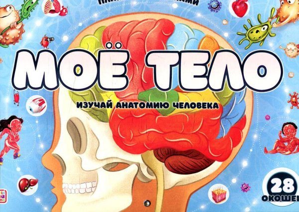 Плакат с окошками. Мое тело