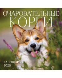 Очаровательные корги. Календарь настенный на 2026 год (300х300 мм)
