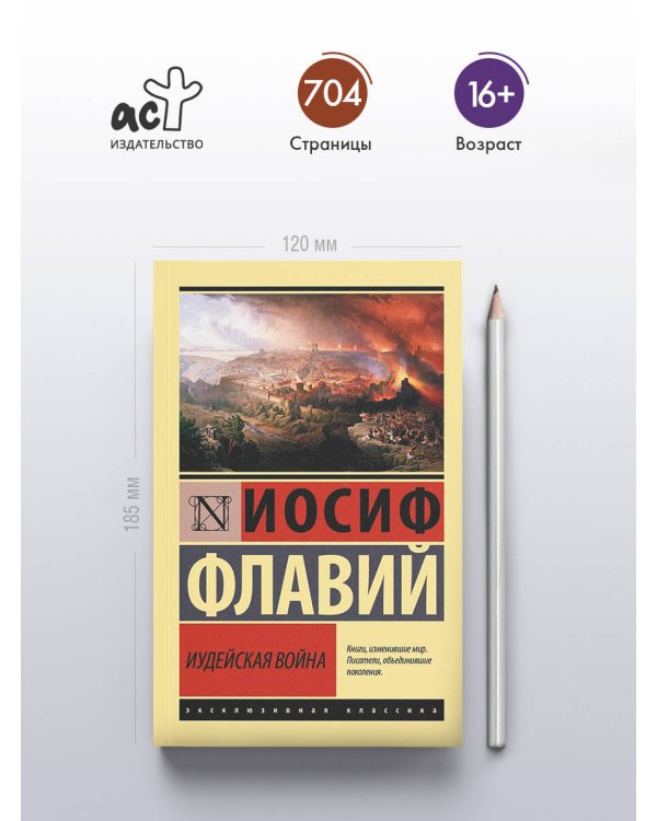 Дополнительное изображение книги «Иудейская война»