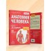 Анатомия человека: 2 издание