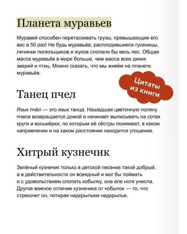 Насекомые и пауки. Детская энциклопедия (Чевостик)