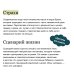Рожденные побеждать. Создаем жизненный сценарий с помощью транзактного анализа и гештальттерапии