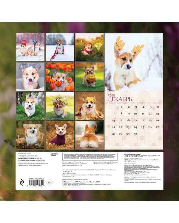 Очаровательные корги. Календарь настенный на 2026 год (300х300 мм)