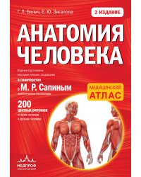 Анатомия человека: 2 издание