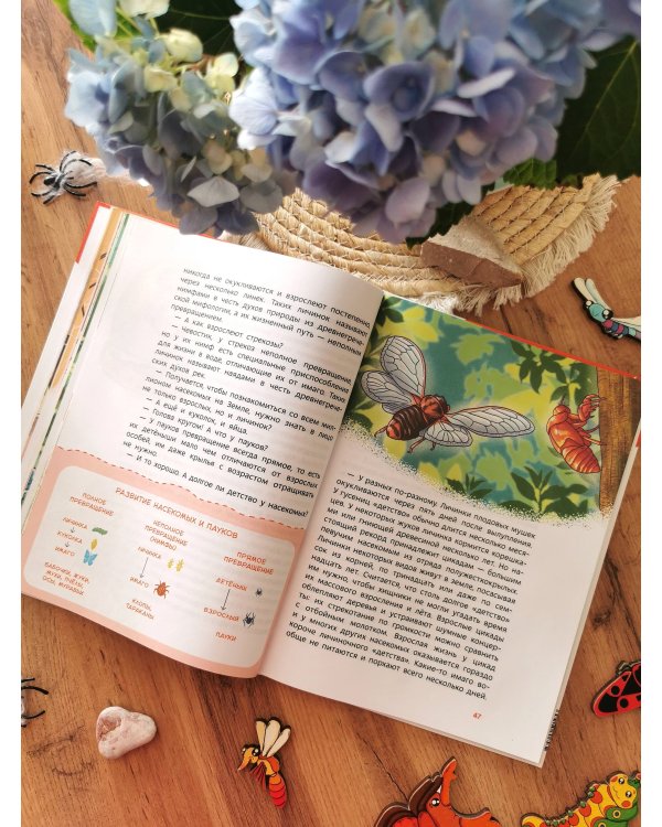 Насекомые и пауки. Детская энциклопедия (Чевостик)