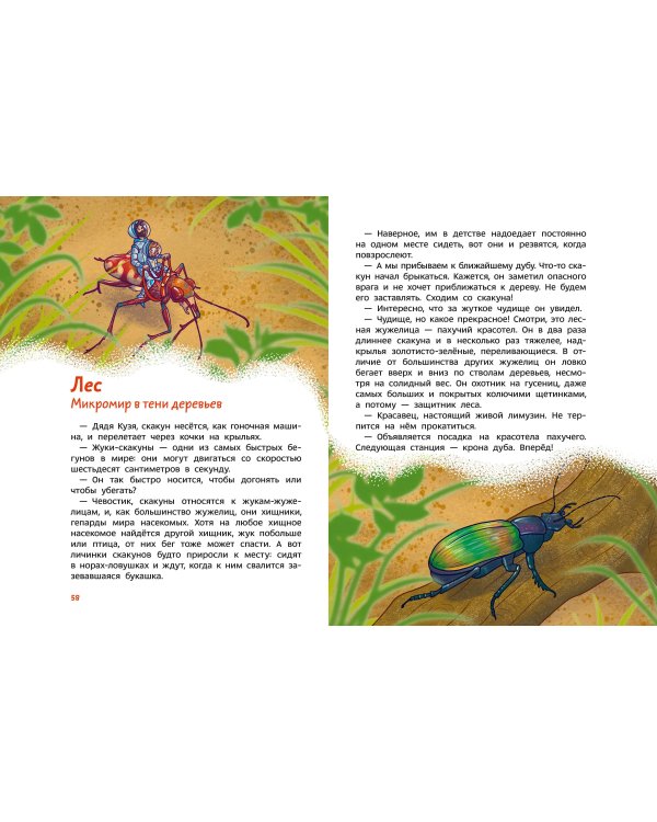 Насекомые и пауки. Детская энциклопедия (Чевостик)