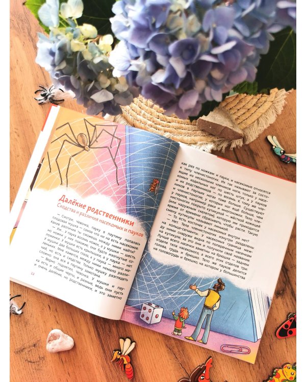 Насекомые и пауки. Детская энциклопедия (Чевостик)