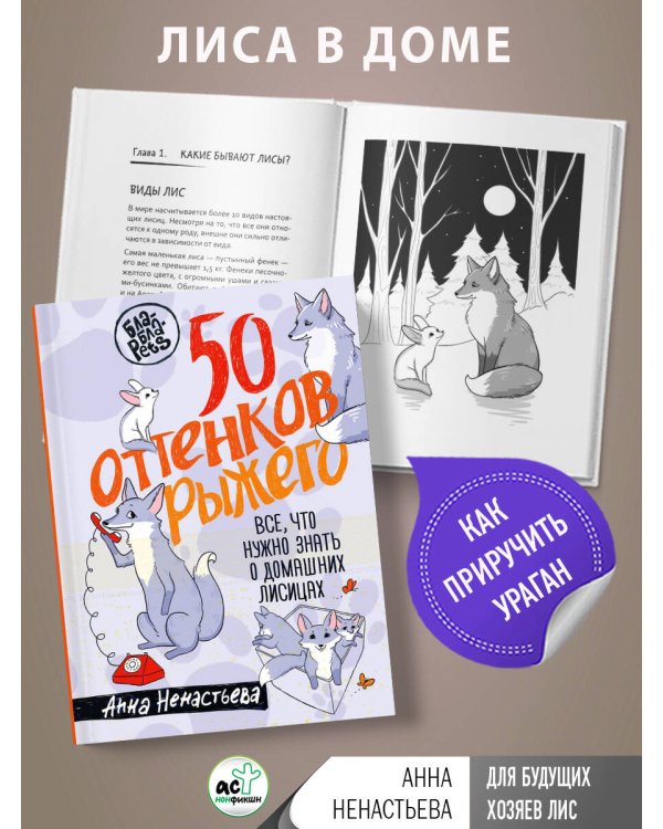 50 оттенков рыжего. Все, что нужно знать о домашних лисицах
