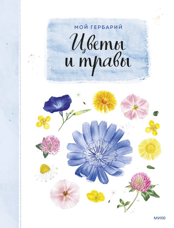Мой гербарий Мой гербарий. Цветы и травы(переупак)