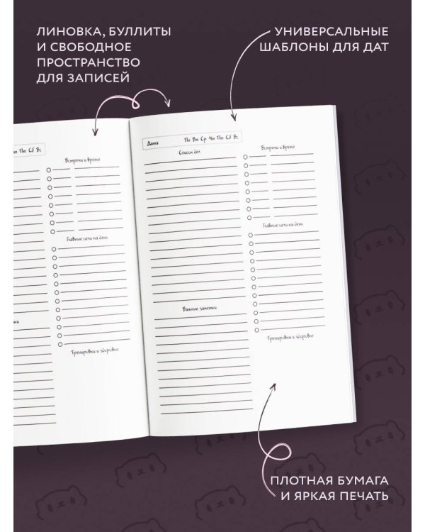 Панкейки. Котячье затмение. Ежедневник недатированный (А5, 72 л.)