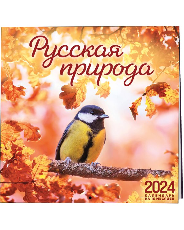 Русская природа. Календарь настенный на 16 месяцев на 2024 год (300х300 мм)