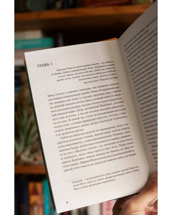 Дополнительное изображение книги «Храм Фортуны»