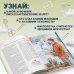 Комплект из 2 книг с наклейками. Рисование. Первые шаги + Художники, прославившие Россию (ИК)