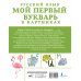 Учиться только на пятерки! Русский язык. Мой первый букварь в картинках