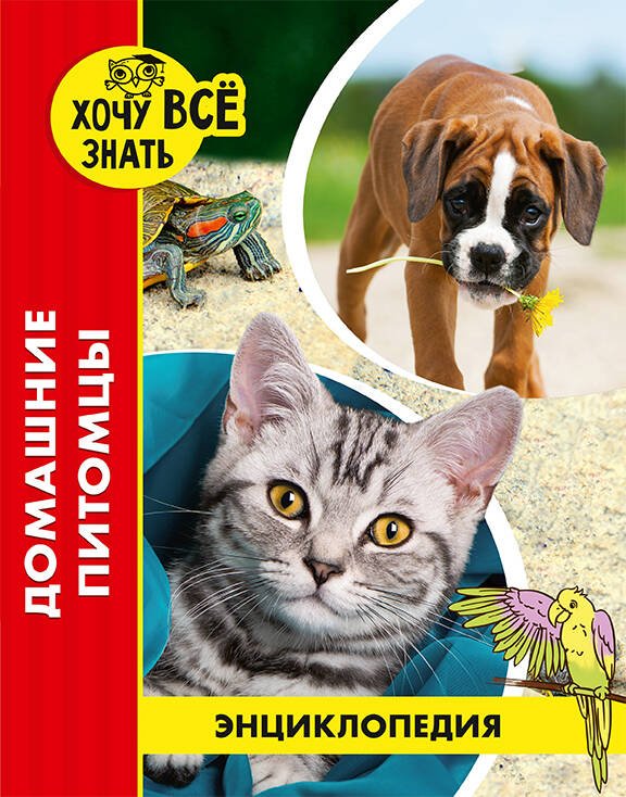 ДОМАШНИЕ ПИТОМЦЫ