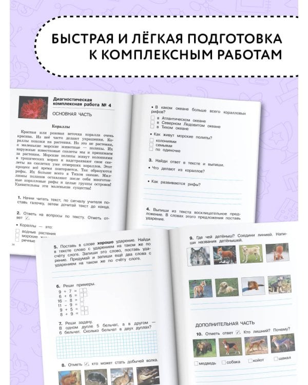 Диагностические комплексные работы. Русский язык. Математика. Окружающий мир. Литературное чтение. 2 класс
