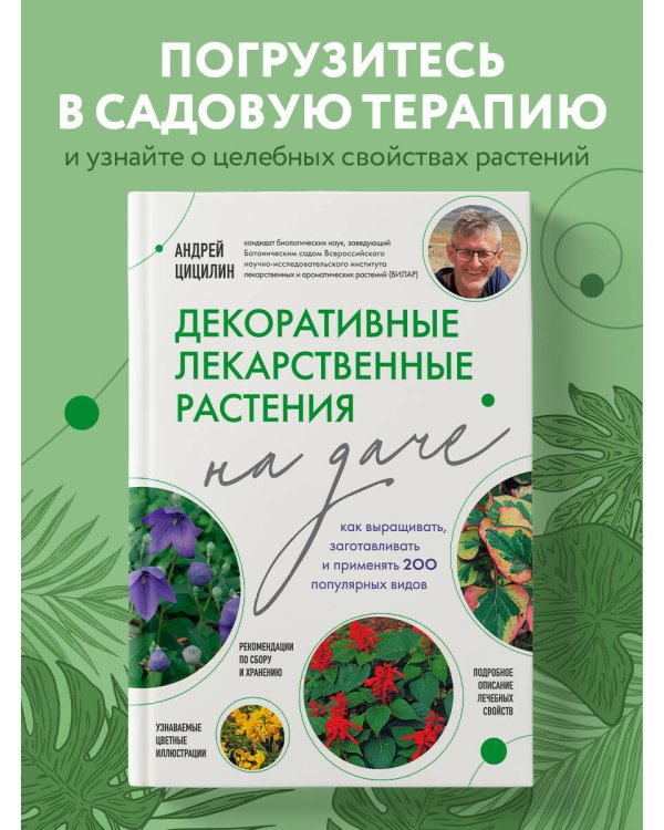 Декоративные лекарственные растения на даче. Как выращивать, заготавливать и применять 200 популярных видов