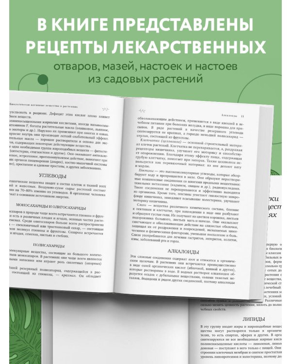 Декоративные лекарственные растения на даче. Как выращивать, заготавливать и применять 200 популярных видов