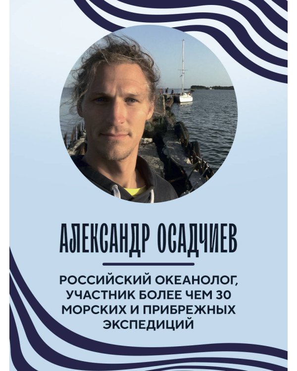 Этот неизвестный океан: как работают приливы, рождаются шторма и живут невидимые создания в морских глубинах