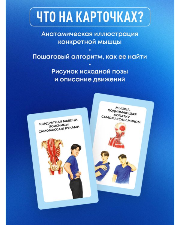 Дополнительное изображение книги «Избавься от триггерных точек. 54 карточки с упражнениями и описанием мышц»