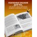 Дополнительное изображение книги «Пчеловодство для начинающих. Практическое пошаговое руководство по созданию пасеки с нуля (новое оформление)»