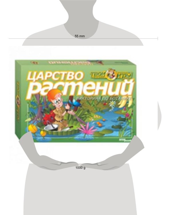 Царство растений. Викторина