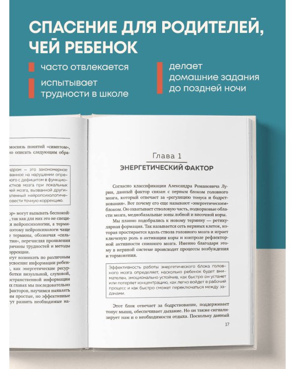 Мозг школьника. Советы и упражнения нейропсихолога для учебы без стресса и слез