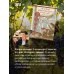 Дополнительное изображение книги «Летопись страны через историю виноделия»