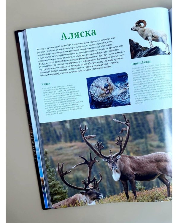 Дополнительное изображение книги «Животные. Иллюстрированный атлас»