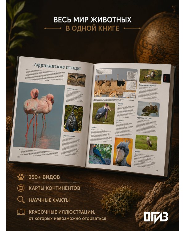 Дополнительное изображение книги «Животные. Иллюстрированный атлас»