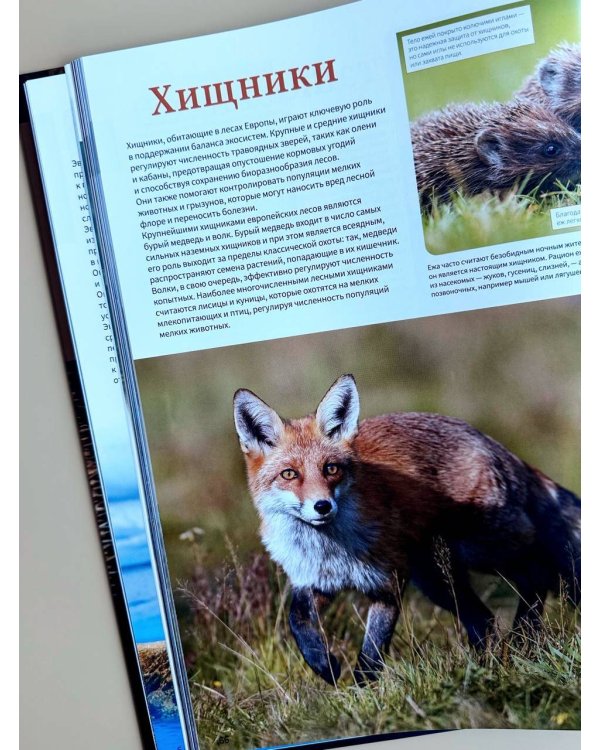 Дополнительное изображение книги «Животные. Иллюстрированный атлас»