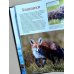 Дополнительное изображение книги «Животные. Иллюстрированный атлас»