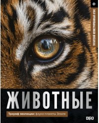 Животные. Иллюстрированный атлас