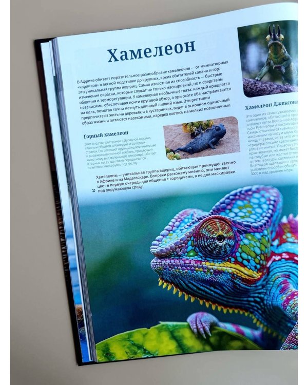 Дополнительное изображение книги «Животные. Иллюстрированный атлас»