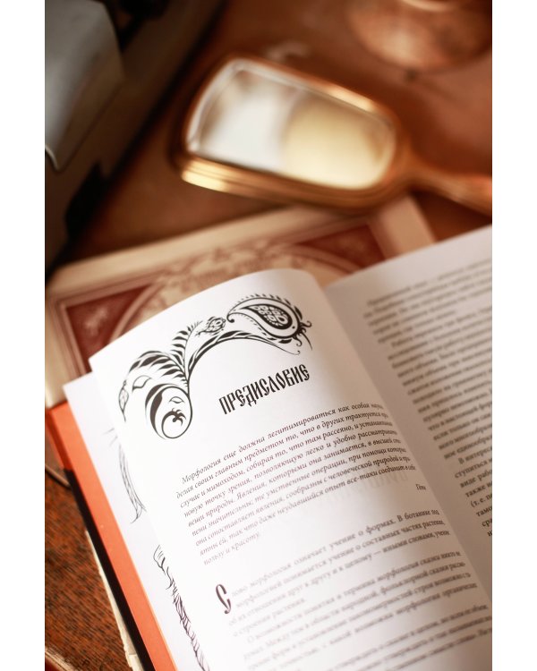 Набор из 3 книг: Морфология волшебной сказки. Русский героический эпос. Фольклор и действительность