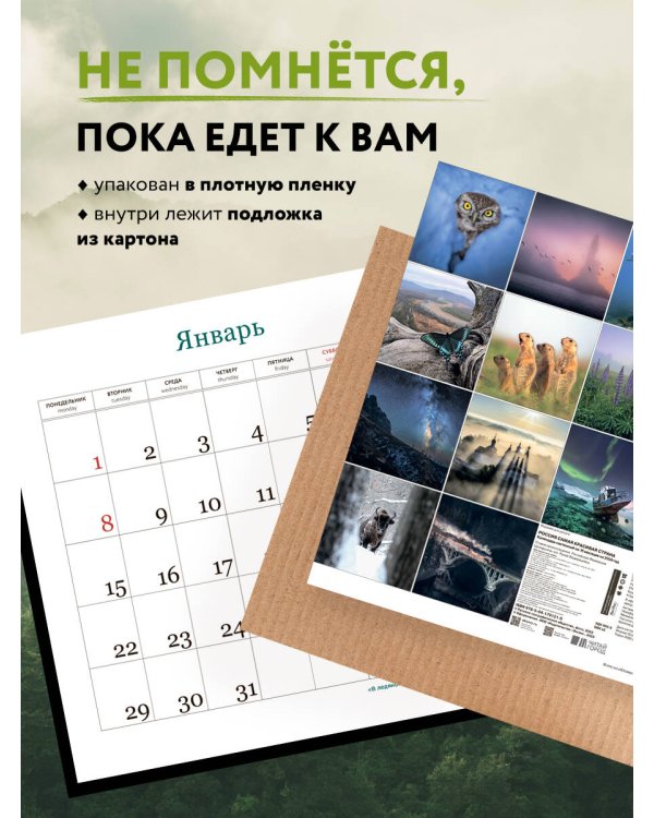 Россия самая красивая страна. Календарь настенный на 16 месяцев на 2024 год (300х300 мм)