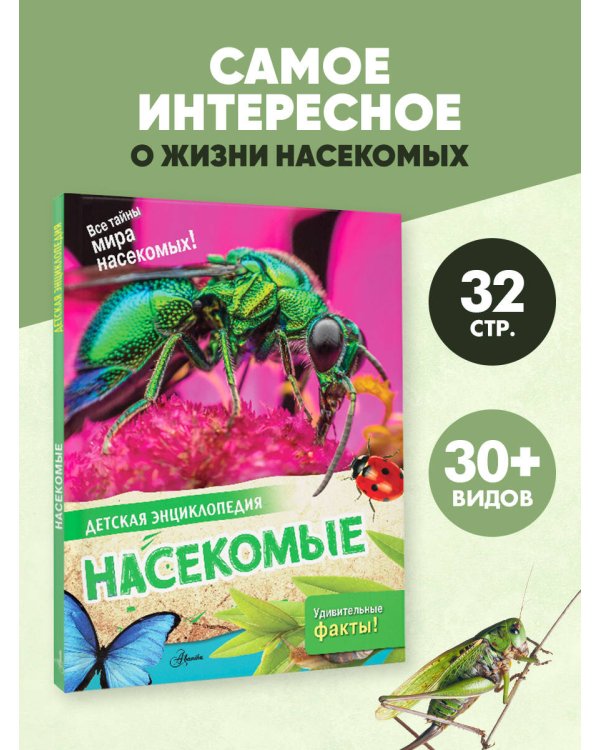 Насекомые