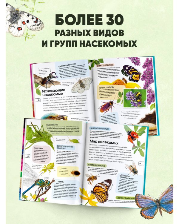 Насекомые