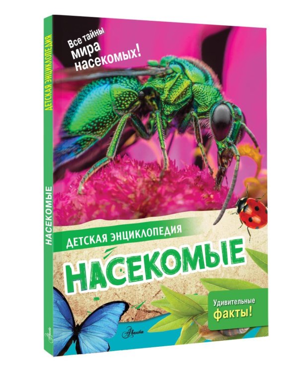 Насекомые